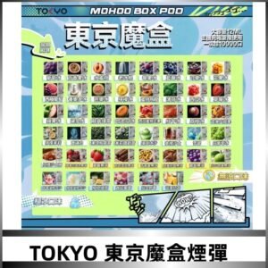 TOKYO MOHOO BOX東京魔盒煙彈可替換式電子煙|日本熱銷品牌